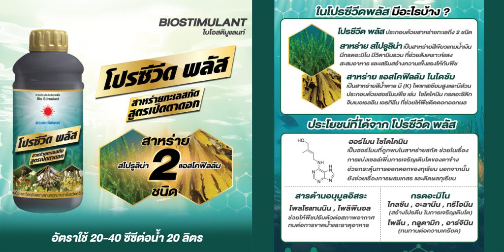 โปรซีวีดพลัส อะมิโนสกัดจากสาหร่าย 2 ชนิด ฟ้าปิดพืชสร้างอาหารไม่ได้ต้องทำอย่างไร