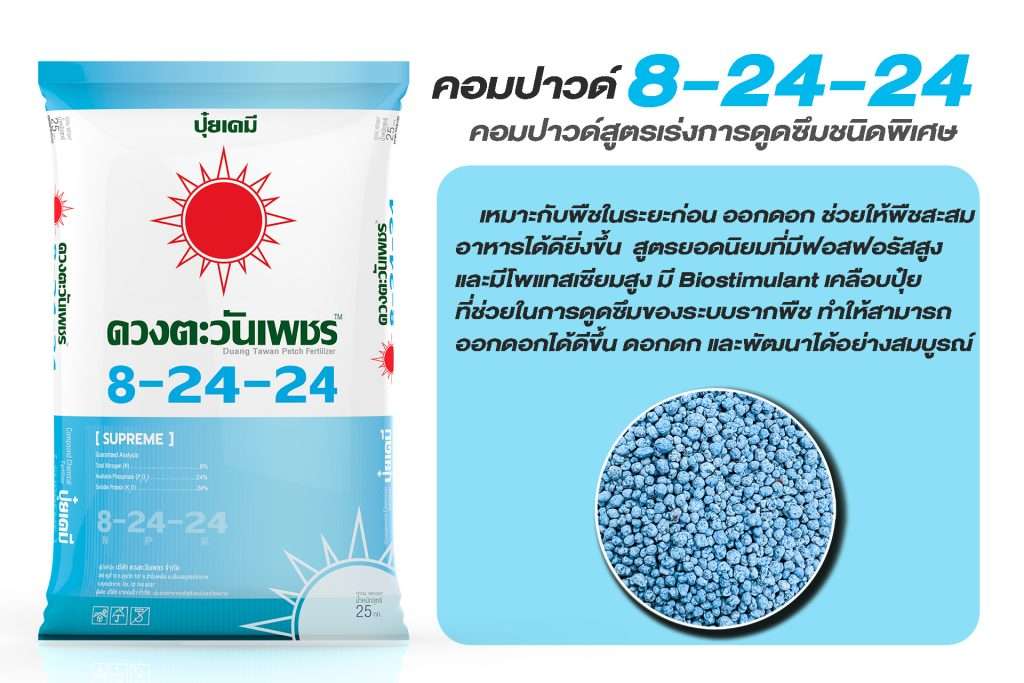 สูตร 0-24-24 และ 8-24-24 เปรียบเทียบปุ๋ยไฮบริดและคอมปาวด์