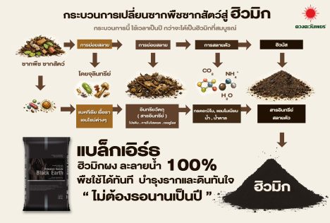 แผนภาพกระบวนการเกิดฮิวมิกในดินจากซากพืชซากสัตว์